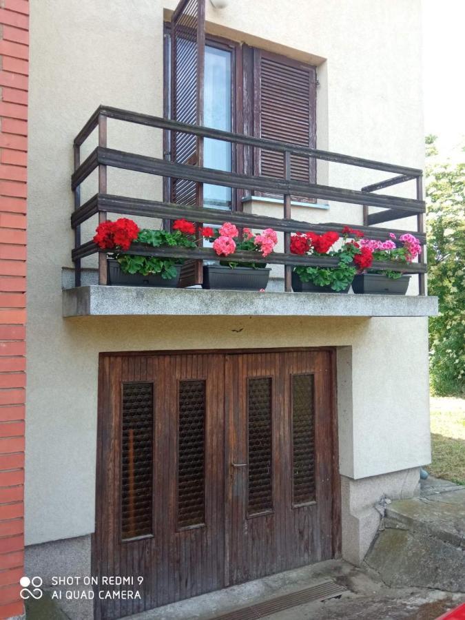 Vila Milica Kraljevo Ngoại thất bức ảnh